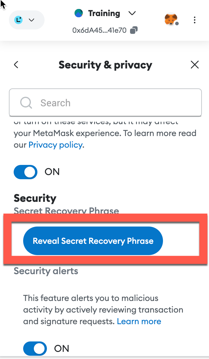 Access secret recovery phrase