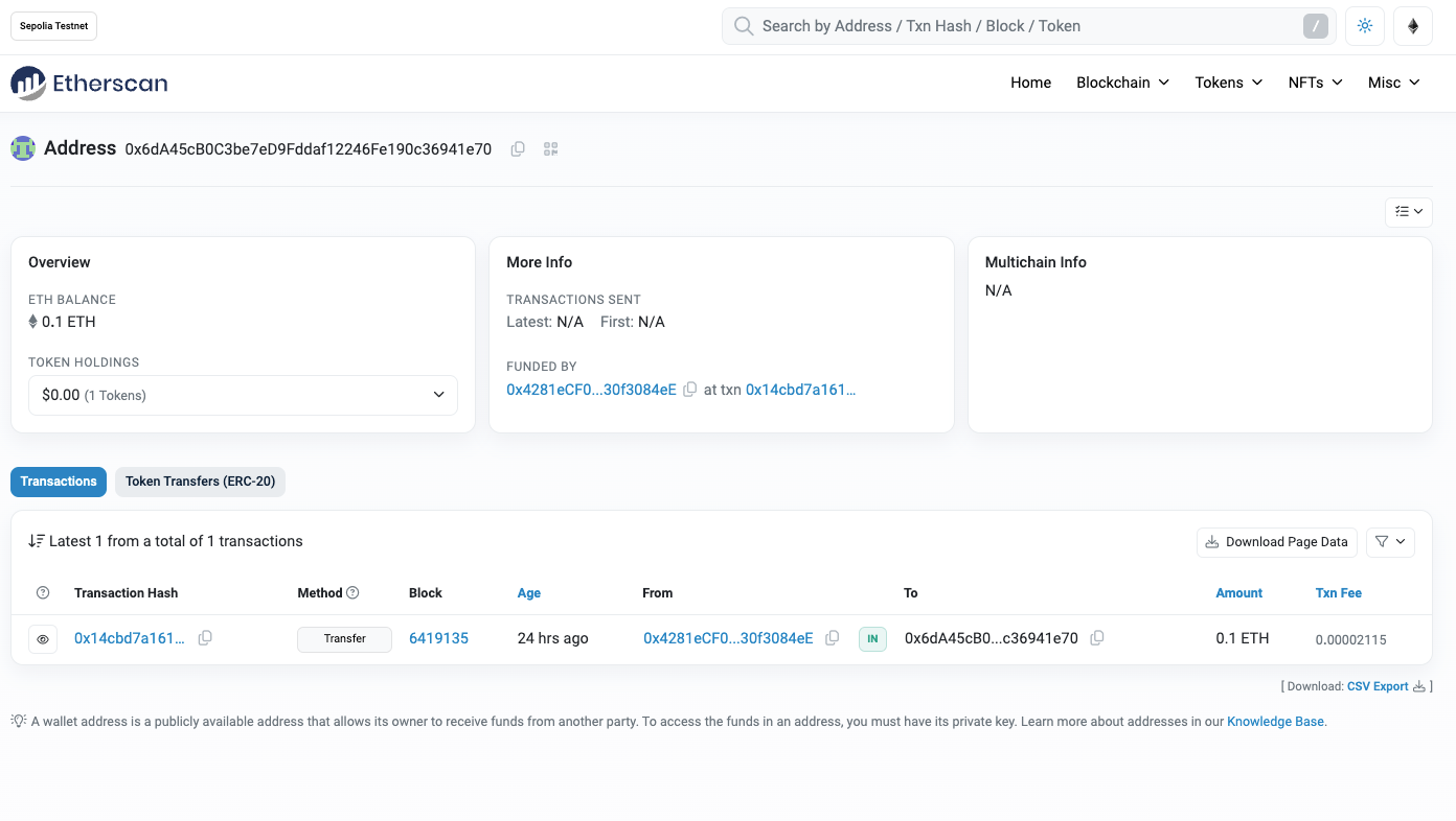 Transaction details from Sepolia Etherscan